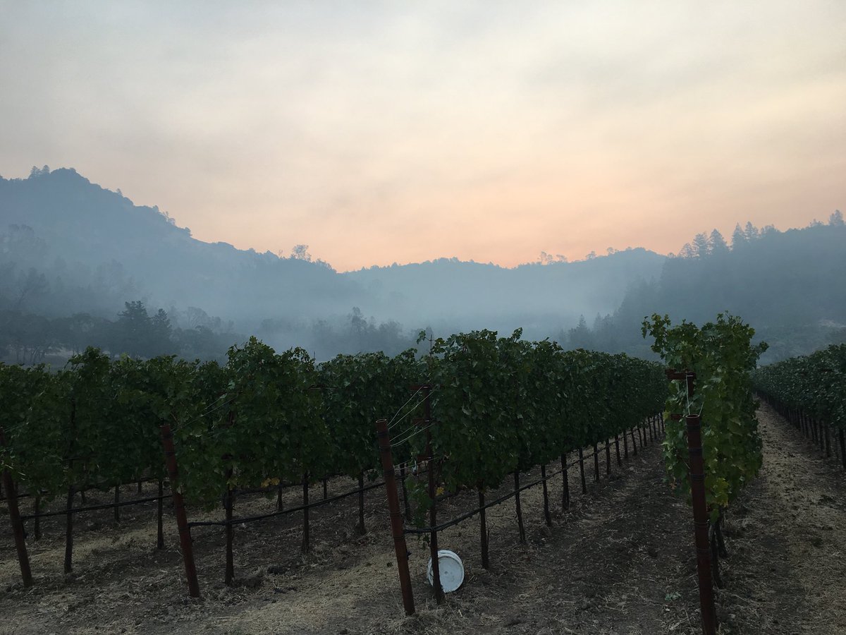 Frederic Engerer (@7vignes) on Twitter photo 