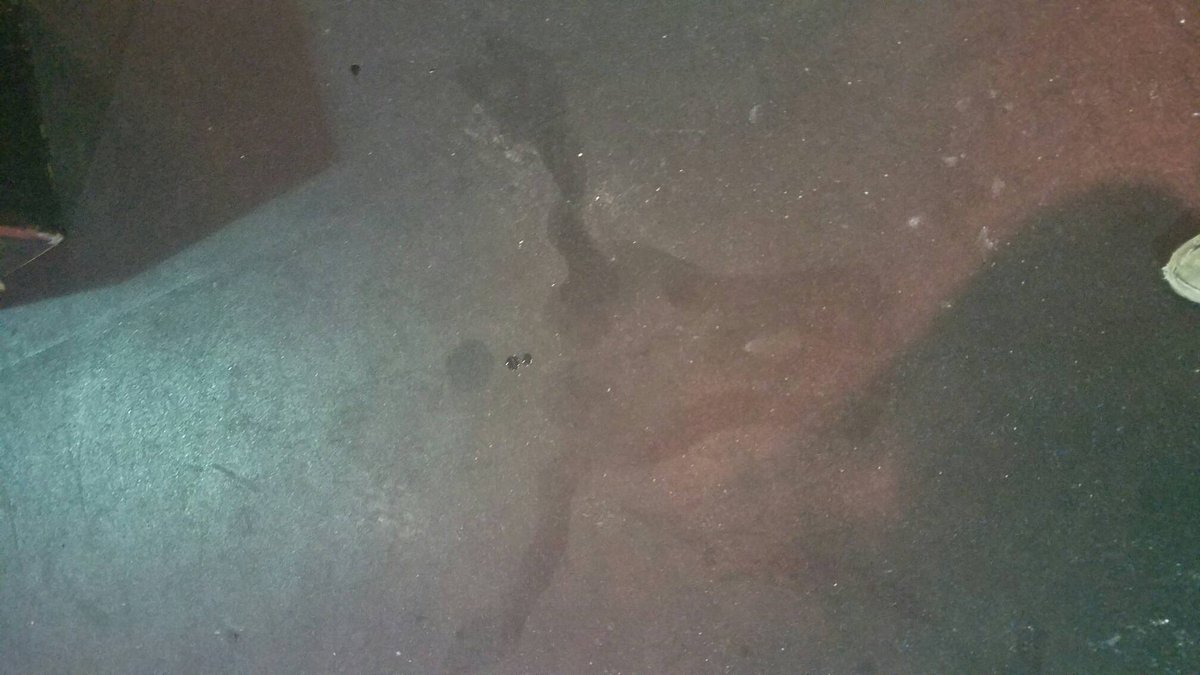 IronBridgeCF's tweet image. Hard work happened here...