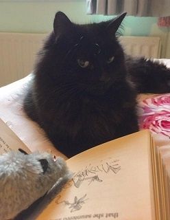 DorsetLibraries's tweet photo. Suzy and Fern are enjoying #LibrariesWeek at #CorfeMullenLibrary https://t.co/cU5Z2mEpfr