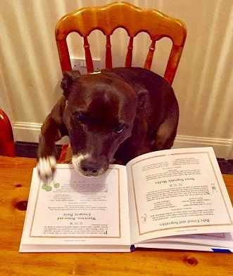 DorsetLibraries's tweet photo. Suzy and Fern are enjoying #LibrariesWeek at #CorfeMullenLibrary https://t.co/cU5Z2mEpfr