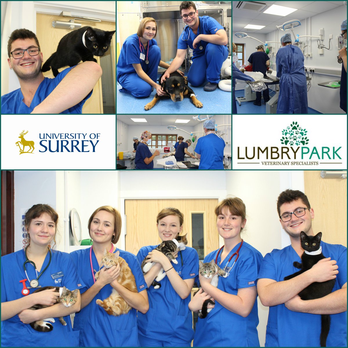 LumbryPark's tweet photo. We are helping the @UniOfSurrey train the next generation of @SurreyVet students in our purpose-built facility. What an exciting first week! https://t.co/lZDYeSRU4R