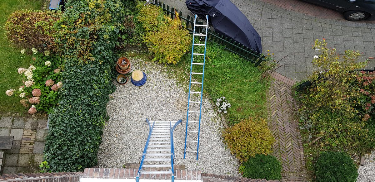 copypaint tweet media