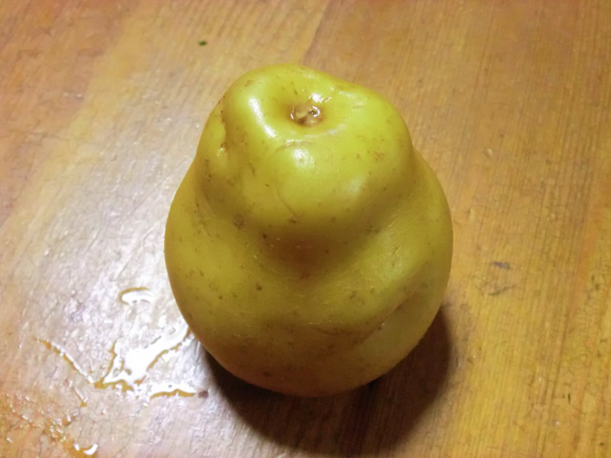 小夜泉 光 ウサフラ 妹に オボンの実 って言われてオボンのみにしか見えなくなった T Co Oke42ktrtv Twitter