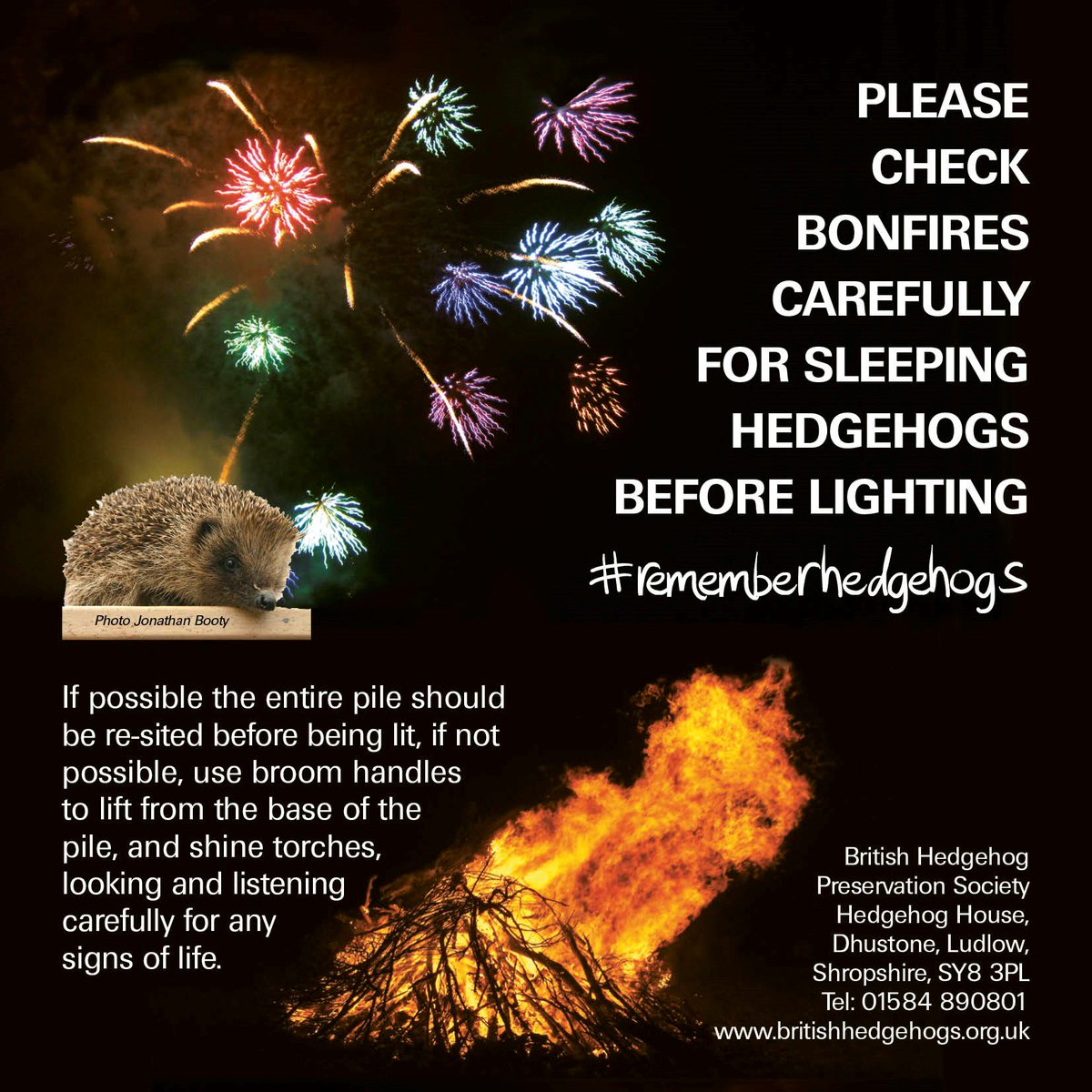 hedgehogsociety's tweet photo. For those of you on Instagram here's an insta-friendly image to share to ask people to #rememberhedgehogs on #BonfireNight https://t.co/qWUZABQBxf