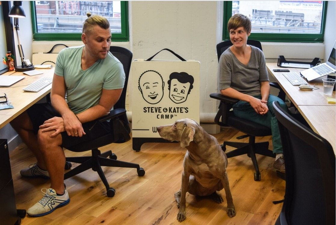 PowerPawsFit's tweet photo. Keen to take your dog to work but not sure how to start the conversation? #PawsitiveWorkplace #Dogfriendly #work https://t.co/nQI1fR5gc2 https://t.co/Pk4r4xtu3S