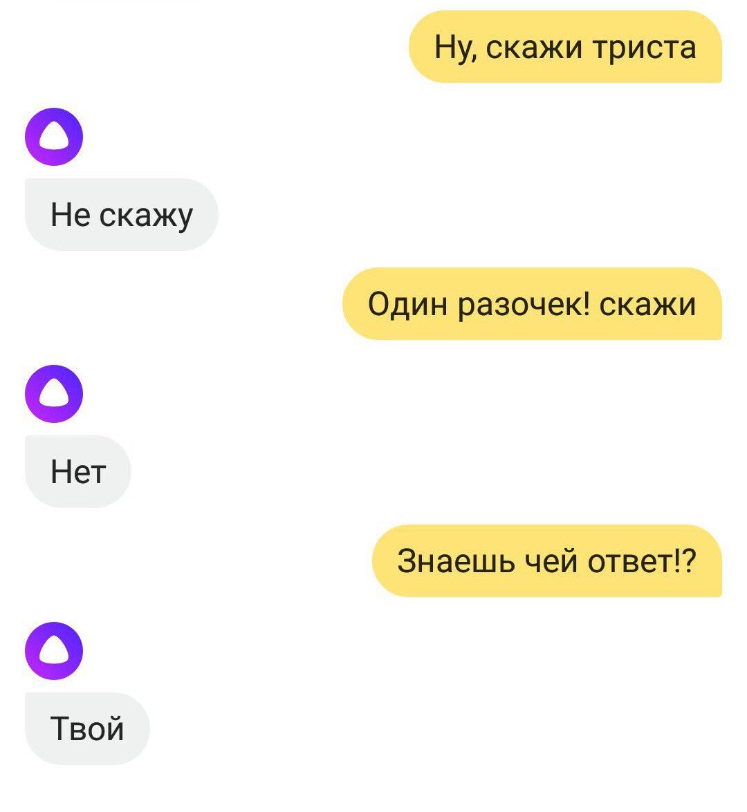 komilavochnikov's tweet photo. Алиса – личный фаворит https://t.co/w8q76GRbXI