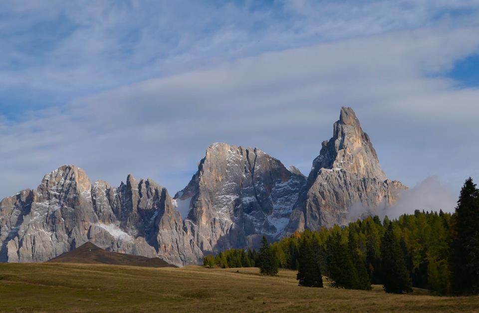 visitfiemme's tweet photo. In #autunno #ParchiNaturali si trasformano in protagonisti #Fiemme #Parchi: https://t.co/Xf9uhxo9uB ©FCerri @Ecoturismonline @EcoPensiero https://t.co/y2D5mHr15E