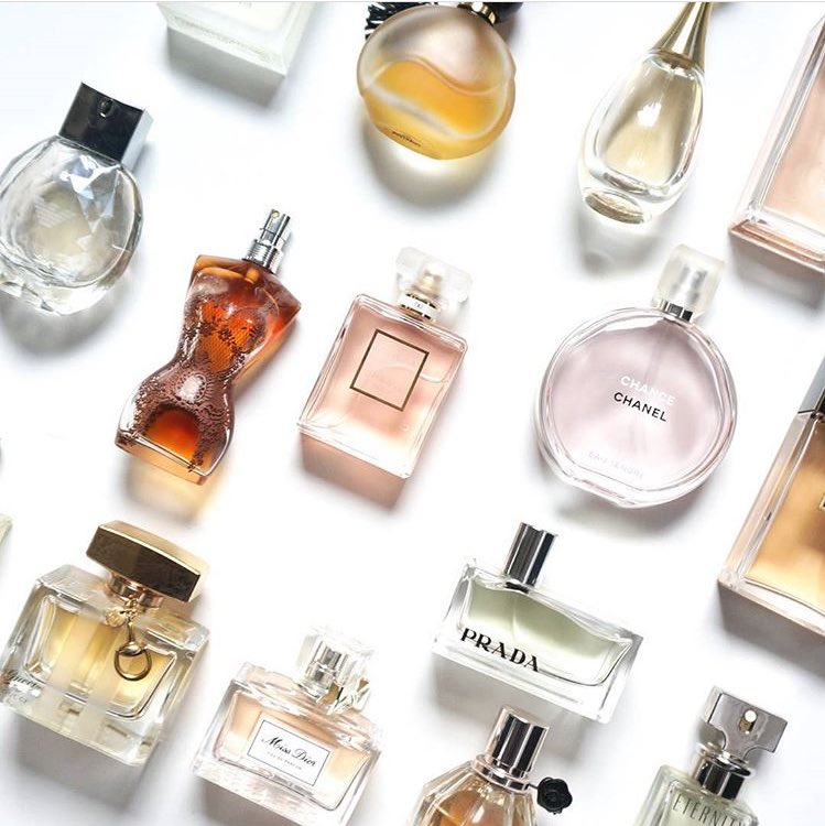 Perfume / Home Fragrance Store. on Twitter: "Are you a perfume lover but  don't know where to get 100% authentic perfumes? Look no more. We are just  a dm/call away. https://t.co/7yA1iflwxB" /