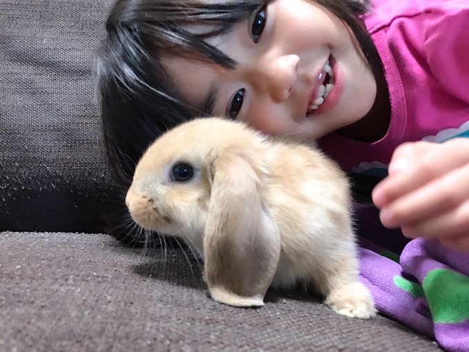 Twitterのコスプレ画像12