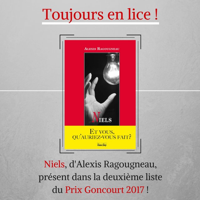 VivianeHamy's tweet photo. #PrixLittéraire : Niels, d'Alexis Ragougneau, toujours en #lice pour le #PrixGoncourt2017 ! On #croise les doigts🤞 ! https://t.co/KEDm7AYZNw https://t.co/ZicBCQX6k3