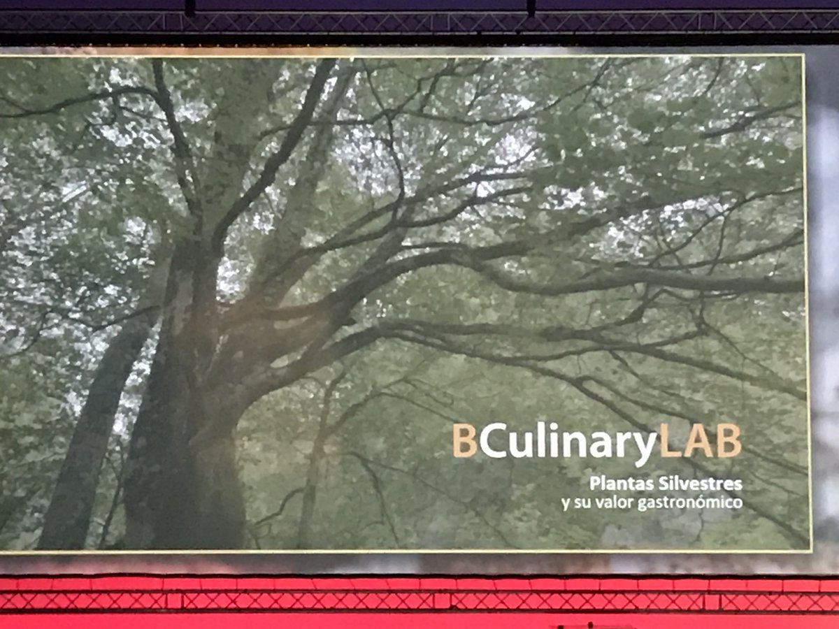 mercadoflotante's tweet image. La contribución de las plantas silvestres a la cocina, de la mano del @bculinary #culinarylab #ssg17 @ssgastronomika