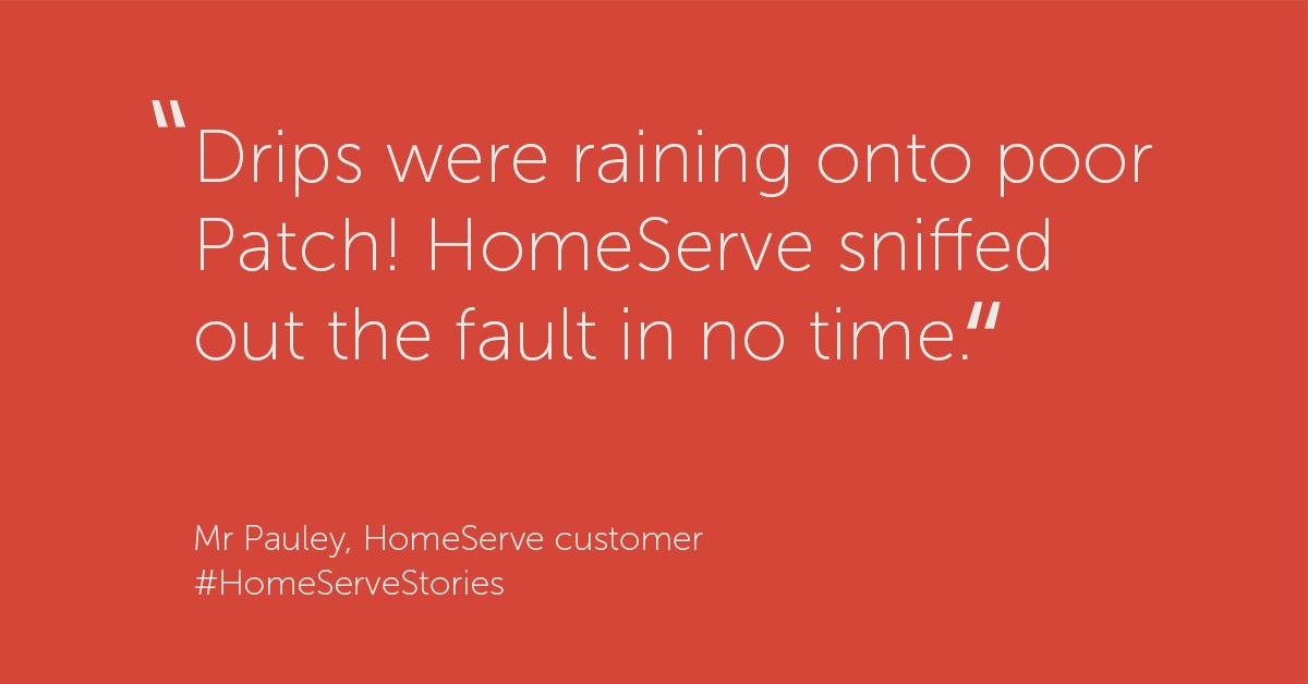 HomeServeUK's tweet photo. Discover more about Patch's story and how life keeps moving for our Customers https://t.co/lyG8GQAtcv #HomeServeStories https://t.co/shD6Uk6QZB