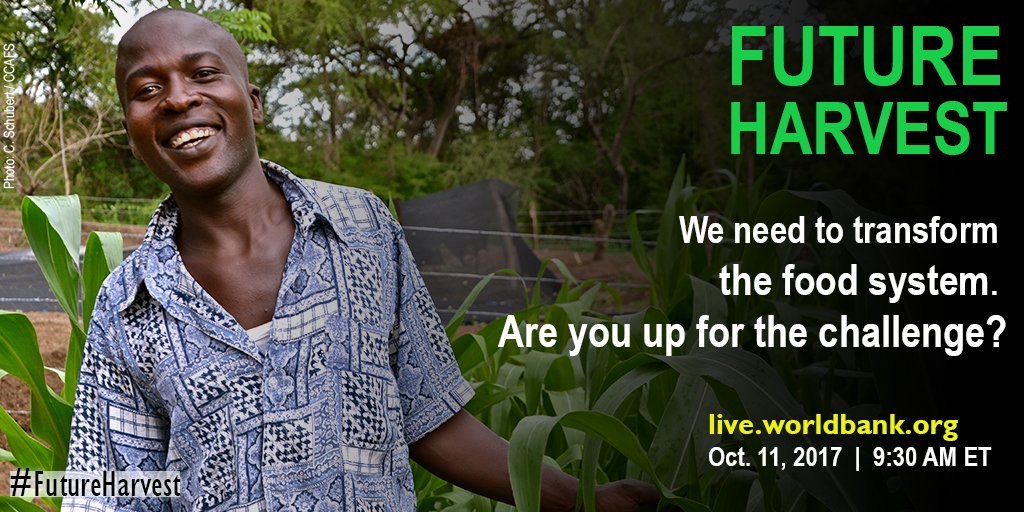WorldBankAfrica's tweet photo. Young farmers are vital for the world’s #FutureHarvest. Will you help grow tomorrow’s food? Join us online today! https://t.co/ud7LVjqX7T https://t.co/W6A3mzu51L