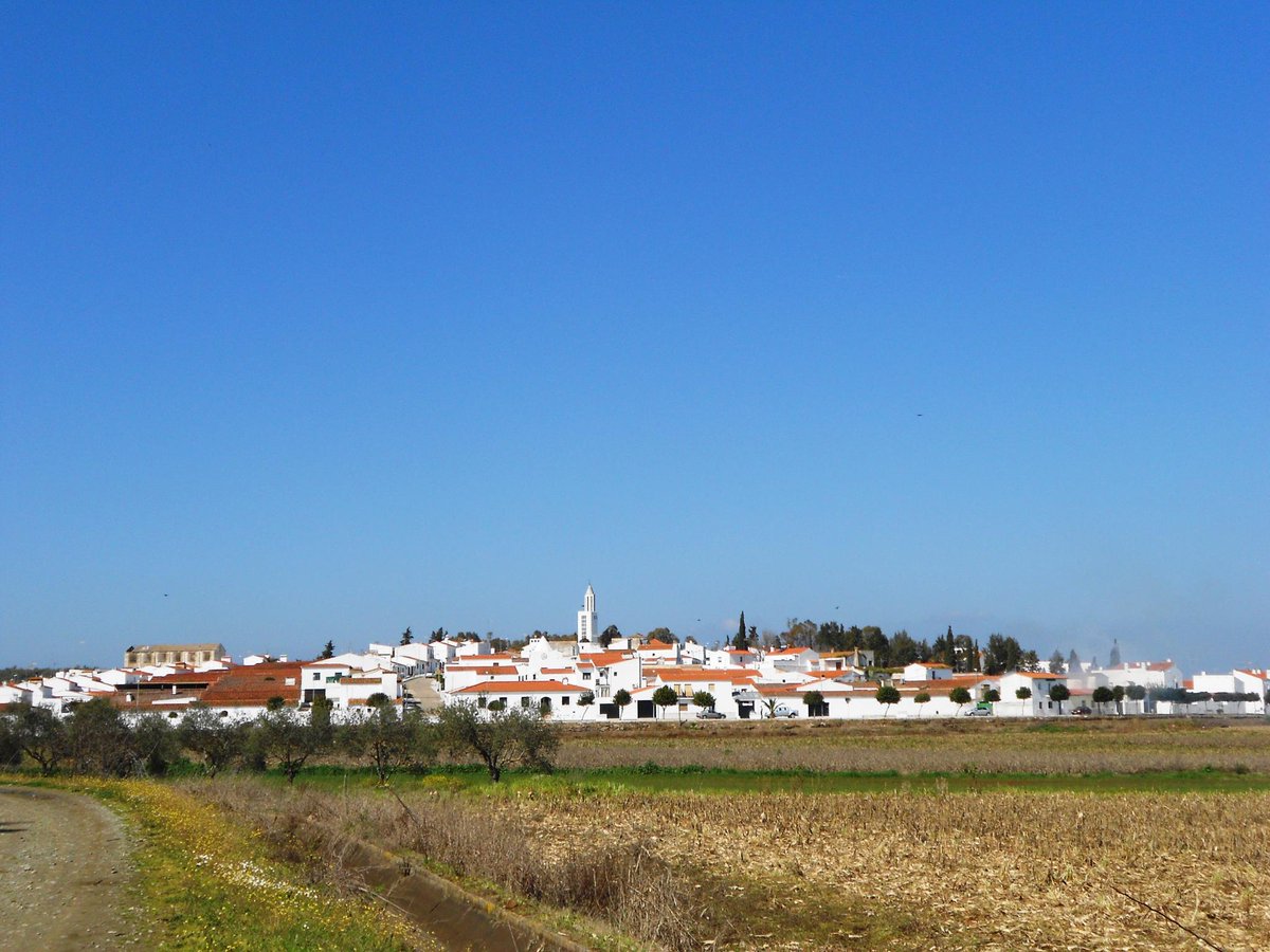 Preseleccionadas las personas candidatas a los puestos de peón de usos múltiples para las pedanías oliventinas ayuntamientodeolivenza.com/preseleccionad…