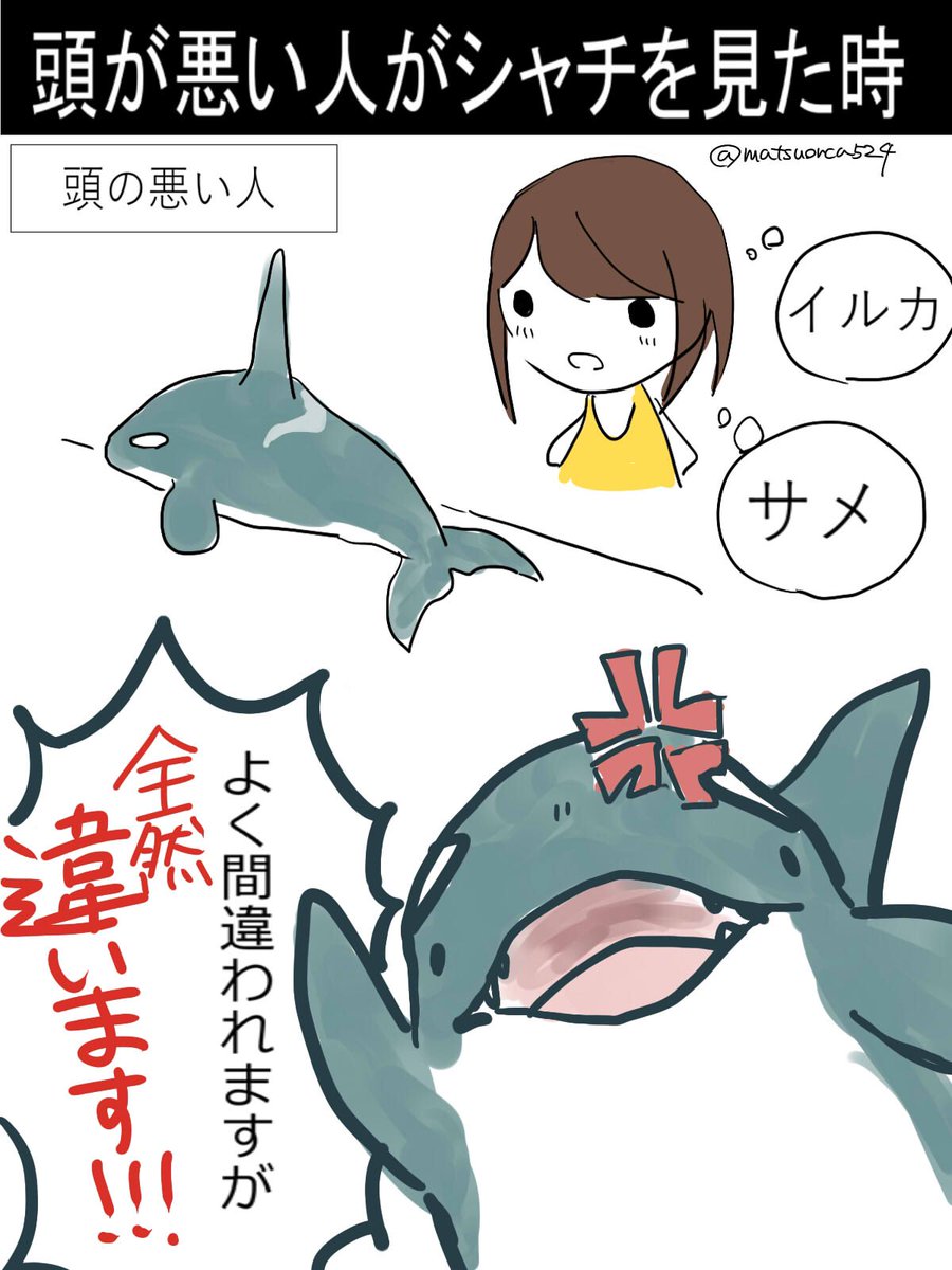 葉月はづき Penpenloves 名古屋港水族館にいるシャチはバンドウイルカと水中でエコロケーションして喧嘩して負けます 人間でいうところの口喧嘩ですかね T Co 7cpllnmhbo