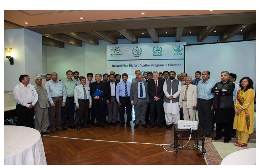 HarvestPlus Pakistan developed high Zinc Wheat Variety, Zincol 2016 to alleviate malnutrition in the country. #NourishingtheWorld