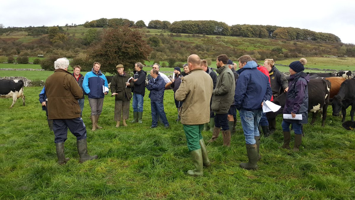 standhillfarm's tweet photo. Good home visit from Turf Accountants with Matt Ryan #intensediscussions https://t.co/aQCWS41A5w