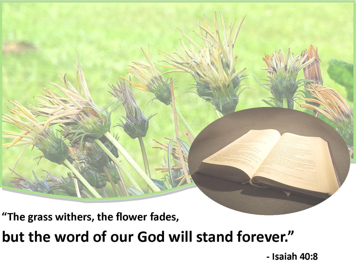 CEFSLOCounty's tweet photo. Our 1st #GNC #VOTW: Isaiah 40:8. Join us in memorizing new #scripture each week w/ children on the Central Coast. #CEF #CEFSLO #GNCCC #Bible https://t.co/LsHaZVEcaH