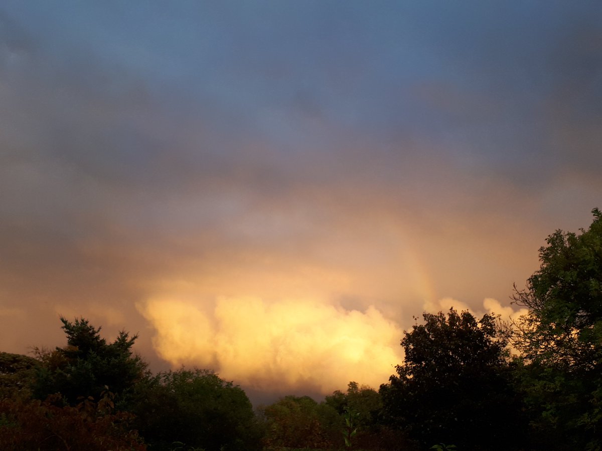 Dean Ward tweet media