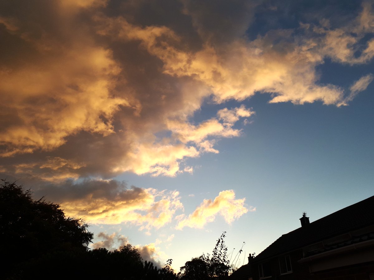 Dean Ward tweet media