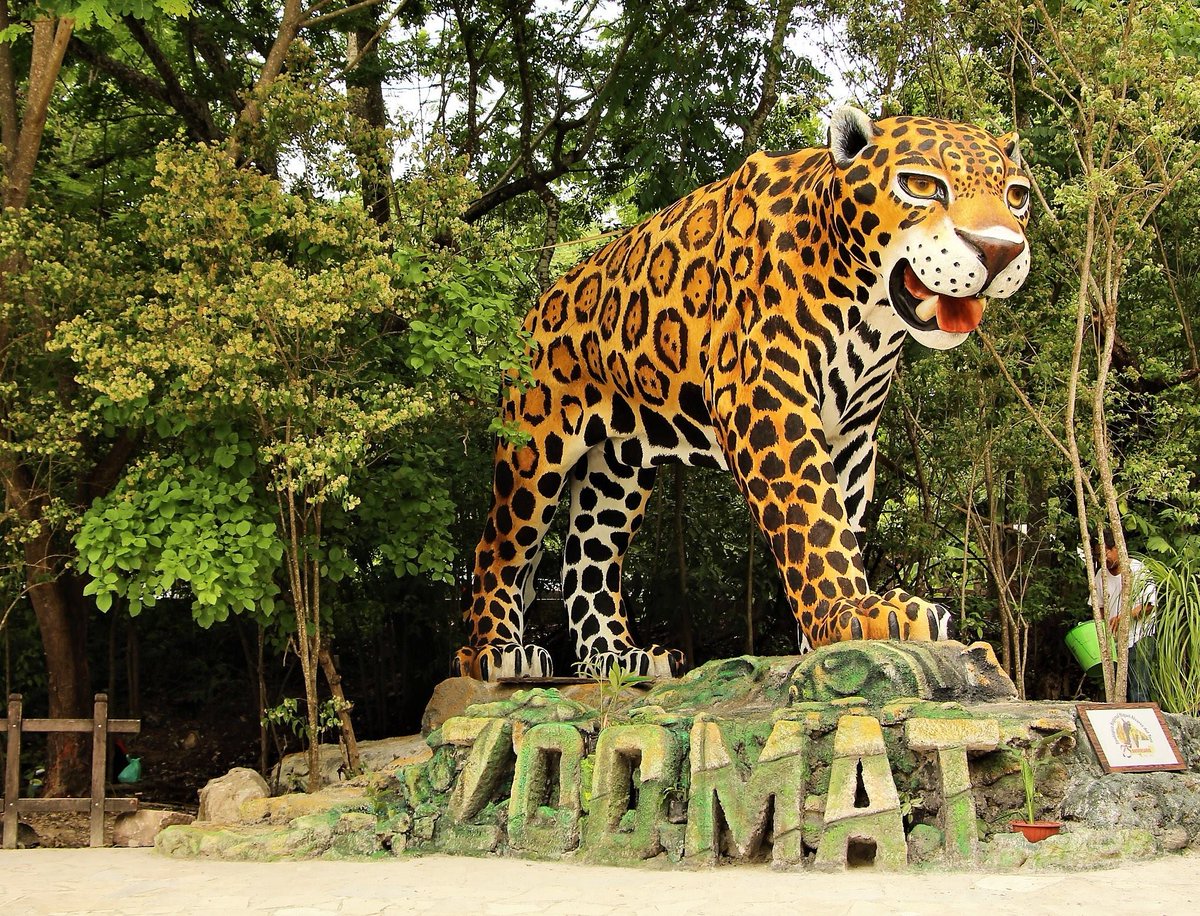 7 Best Zoos In Mexico For A Perfect Family Day Out