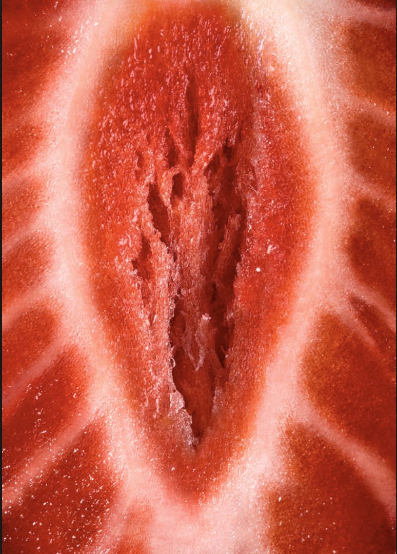 Earth as Lover : Sex &amp; Nature la-renarde.com/2017/10/11/ear…