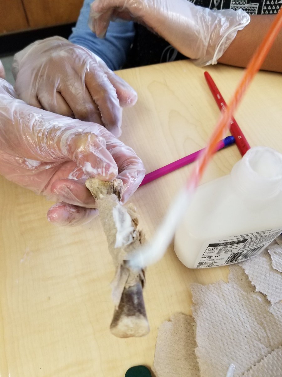 Ms_Castellon's tweet photo. The strength of bones! Working as biomedical engineers to design splints or casts & repair a fractured bone! @FairbankPS @TDSB_STEM #five6 https://t.co/usUKoyxY8V