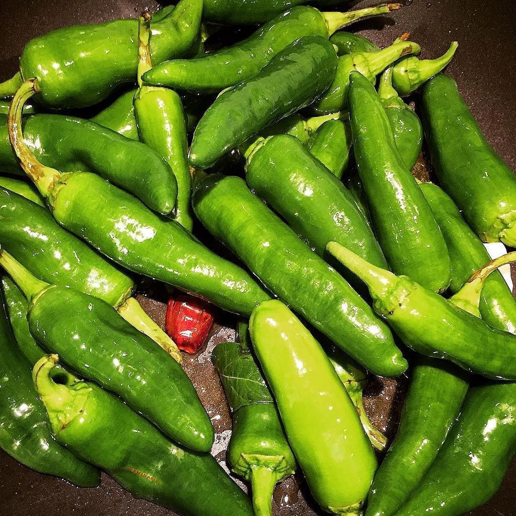 CiboMadre's tweet image. Buona #cena ❤️ #ifoodit #friggitelli #comfortfood #velletri ift.tt/2ydh8cm