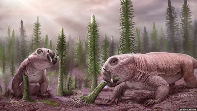 BBCSpringwatch's tweet photo. Mass extinctions have the potential to guide modern conservation efforts, say scientists
https://t.co/FCF29nHVpf https://t.co/oMPlPsYTQG