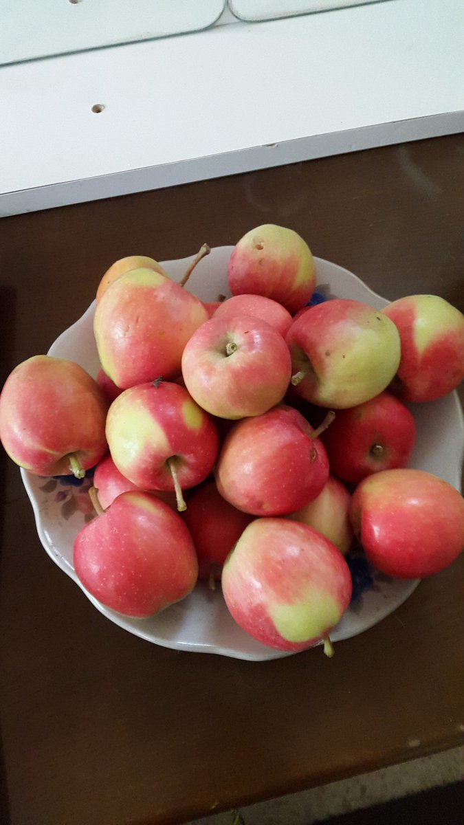 Güz elmalarıdır yedirtmem kimseye :))