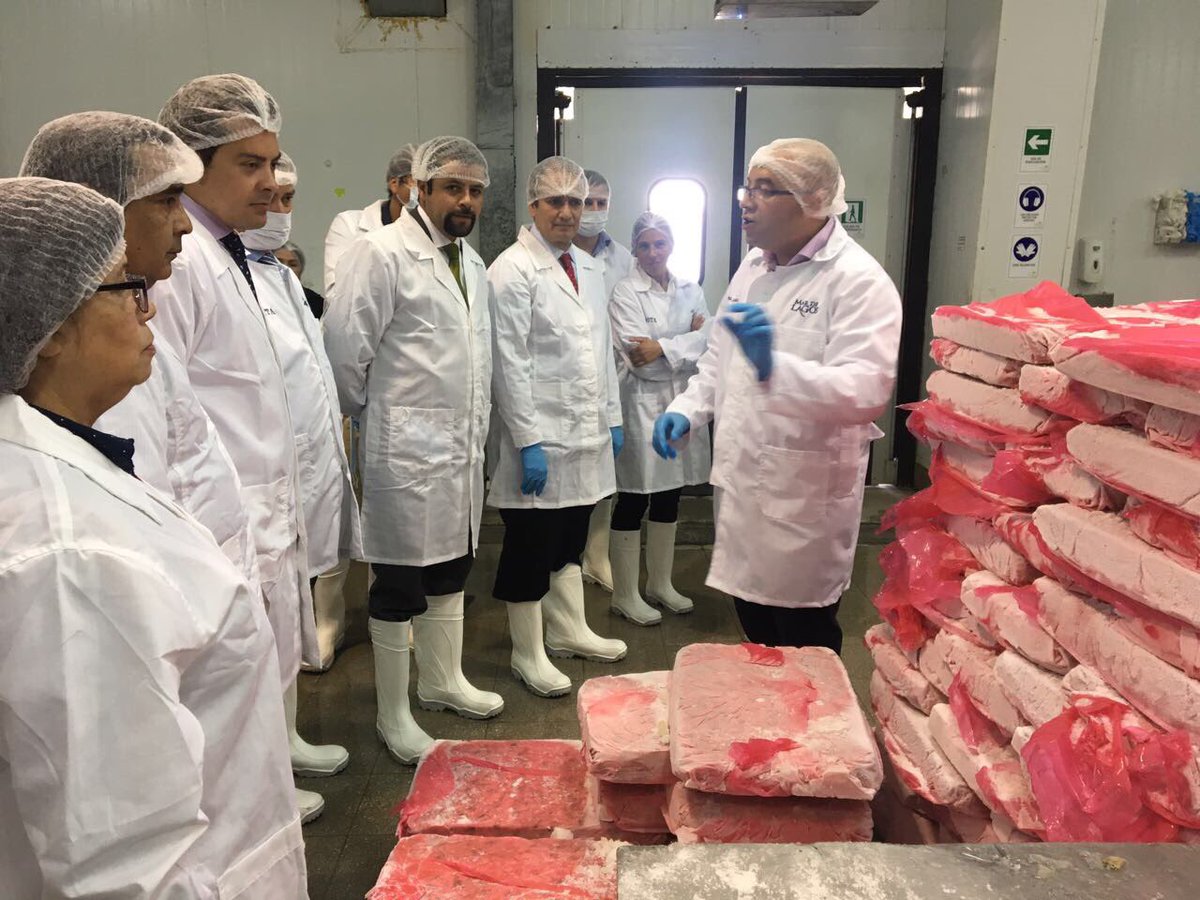 desarrollabb's tweet photo. Empresa mar de lagos lanza primera etapa para elaborar producto de jibia con destino a Japón https://t.co/xzT5iDuXvl