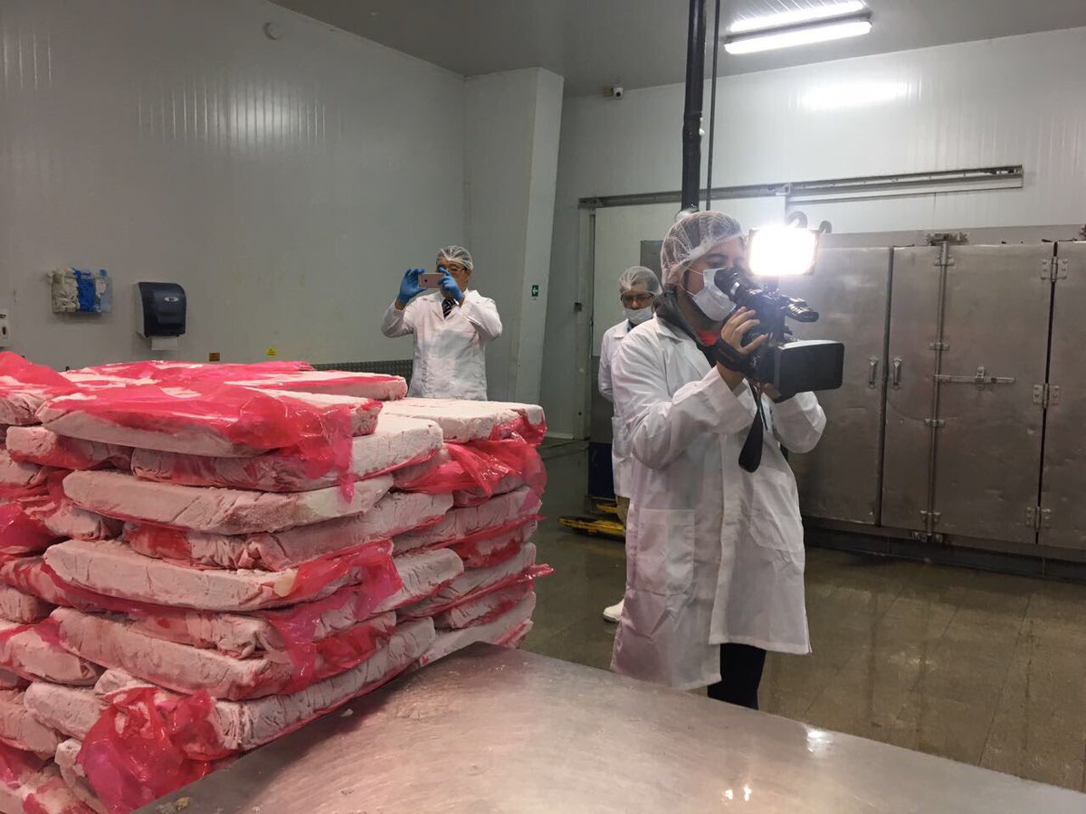 desarrollabb's tweet photo. Empresa mar de lagos lanza primera etapa para elaborar producto de jibia con destino a Japón https://t.co/xzT5iDuXvl