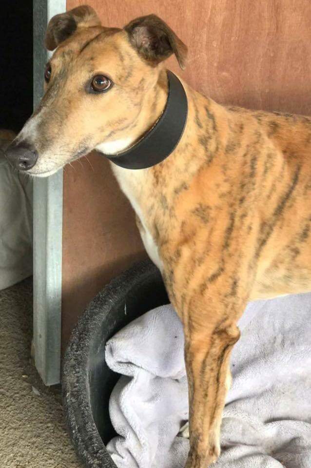 Arriving Friday! Form an orderly queue folks! 💕💕💕