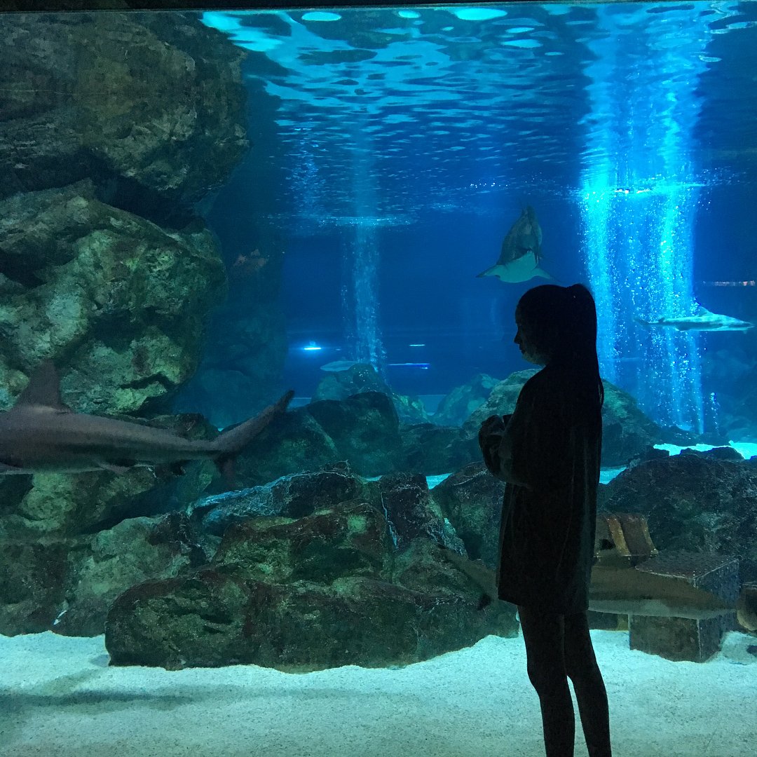 DL3AIosV4AAx2kT?format=jpg