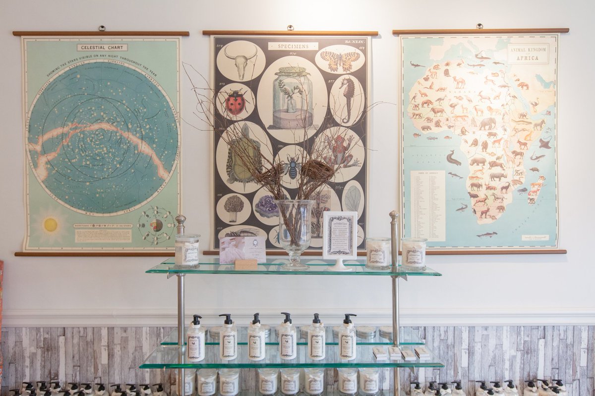 Branch_Design_'s tweet image. We&apos;re always adding new and exciting items to the studio, come for a visit or just to say hi! Wed-Fri 11-5:30, Sat 10-5.