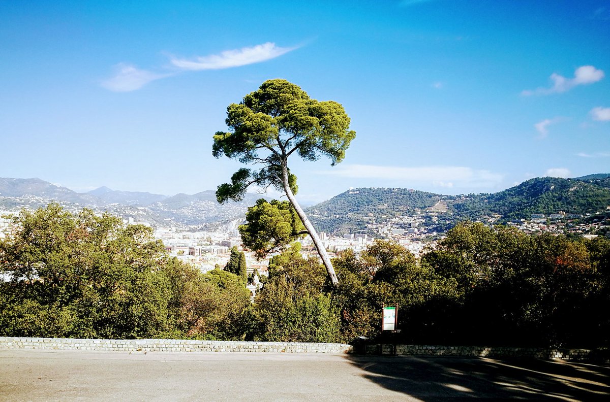 HowardJackson2's tweet image. Top of the Chateau Hill Nice a short walk from our lovely Nice apartment luxuryapartmentnice.com