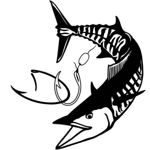 DiveUnder_'s tweet photo. Wahoo decal available on our site https://t.co/qC1dwljDAe #diveunder #wahoowednesday #fishing #spearfishing #diving #humpday #miami #florida https://t.co/4CDrYEA8ye