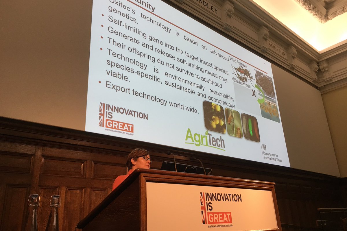 simondocvet's tweet photo. #GREAT presentation on #VectorControl by @Oxitec at @tradegovuk #AgriTech #GameChangingTechnologies2017 #GameChangingAgriTech 🐛 https://t.co/EGovJvUXkj