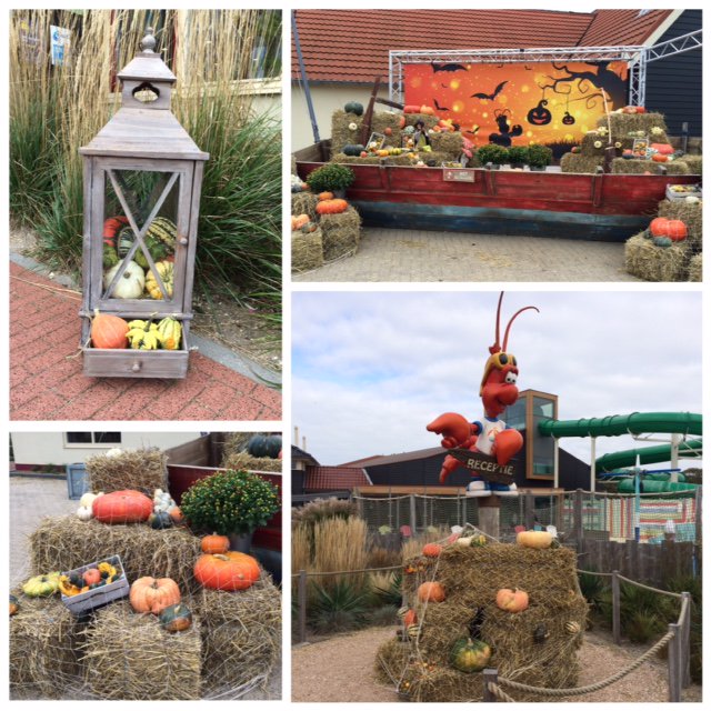 Het plein is weer versierd en aankomende weken staat het #animatieprogramma vol #herfst #activiteiten! --> bit.ly/Activiteiten-H…