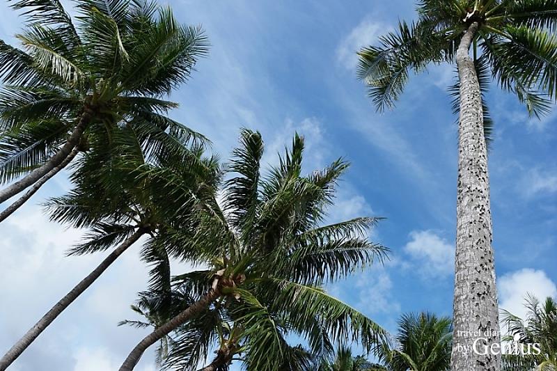 🙌여행_
7월 8월 괌 가족여행 날씨 및 항공권, 준비물 정리
출처 : 지니어스 | 네이버 포스트
↪(클릭)naver.me/G5Crbws9