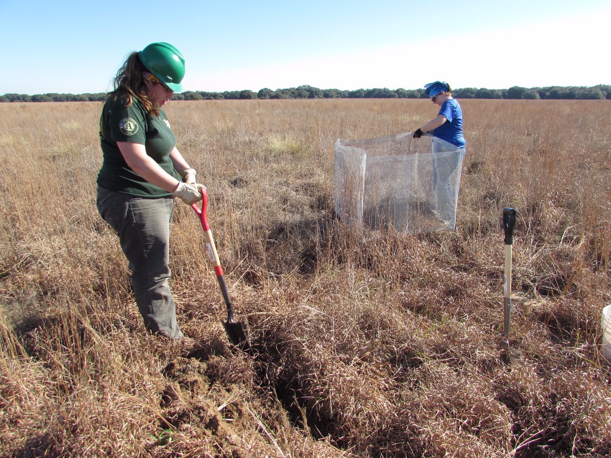 The Corps Network tweet media