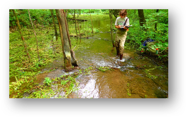 The Corps Network tweet media