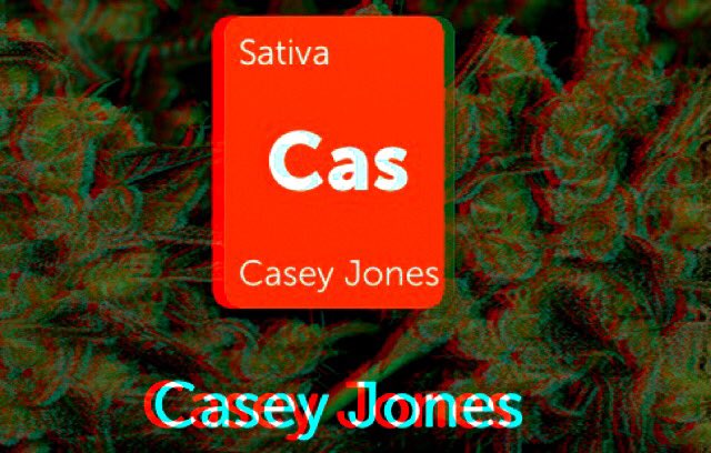 PjusAjax's tweet photo. Casey Jones, absolutely perfect for daytime, with cerebral space to take on negativity. Top strain is best from @coffeeshop020 #dankleafly https://t.co/rd4be6m5EO