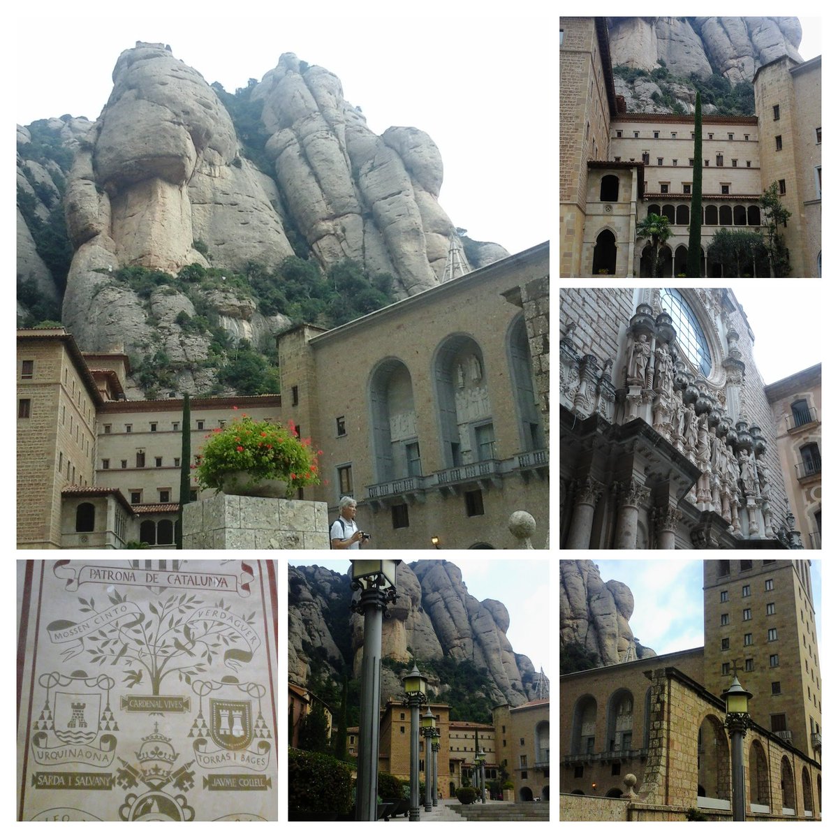 Gill Colverson tweet media