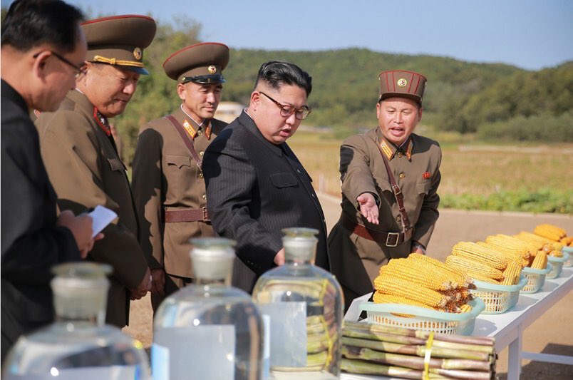 Don't believe him Kim, he just took the three best cobs from your field, we have the same seed salesman.