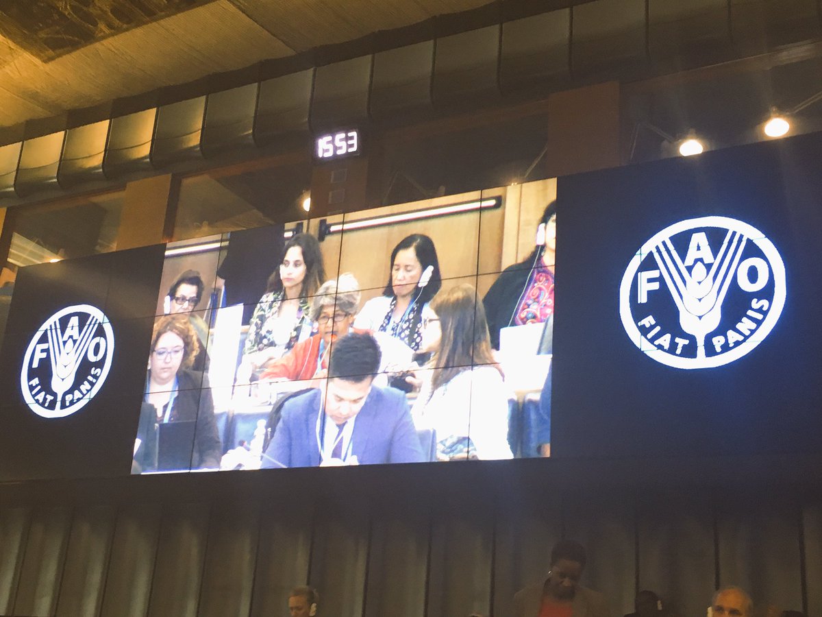"#Patriarchy, feudalism and neoliberalism are grabbing our natural resources and our bodies" <a href="/CSM4CFS/">CSIPM</a>  #womensrights #Cfs44