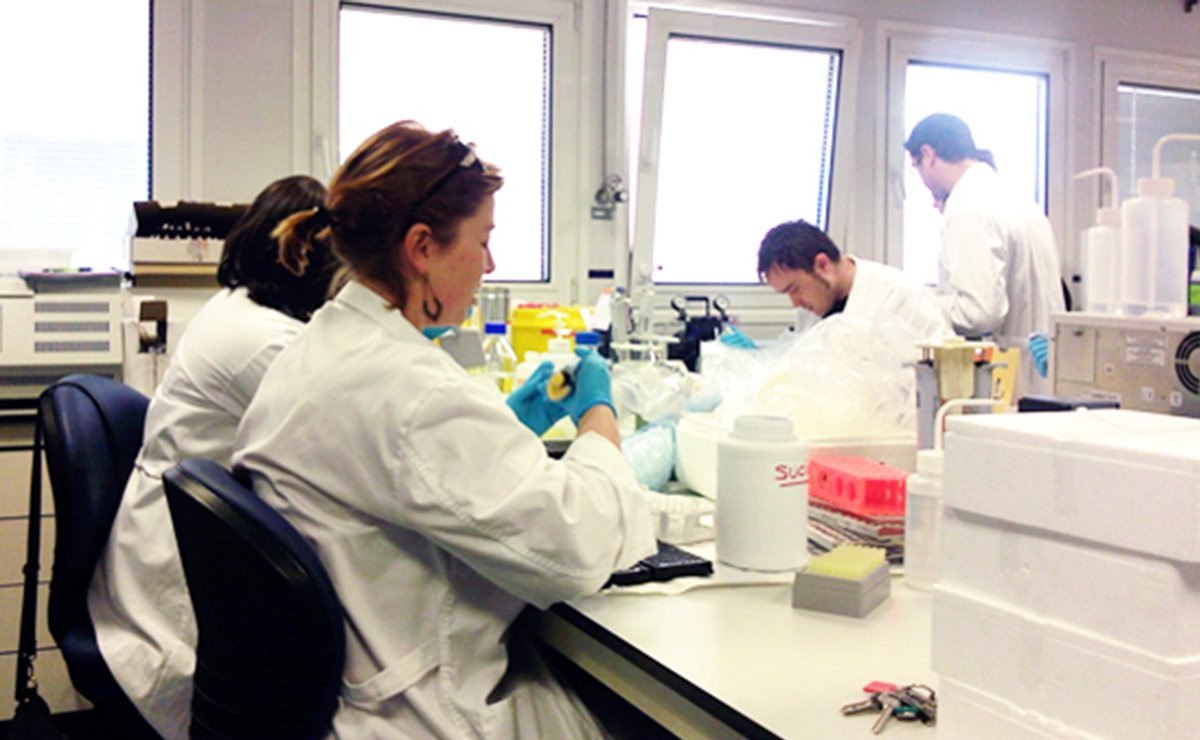 ujaen's tweet photo. El consumo de #AOVE previene la disfunción testicular según un estudio de investigadores de la @ujaen
https://t.co/UQ8qjIZoYo
#UJAInvestiga https://t.co/JCi82iSAbu