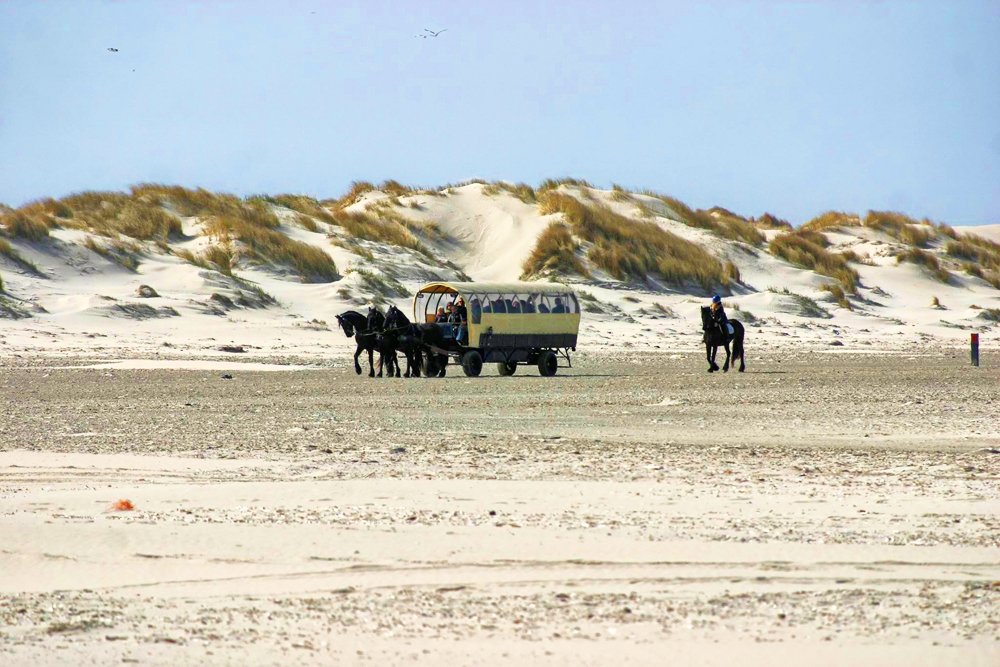 <a href="/PuurSkylge/">Puur-Terschelling</a> genomineerd voor ‘Leukste uitje van 2018’ van de #ANWB. waddengoud.nl/waddengoud-jou…  #Terschelling #Waddengoud #Oosterend