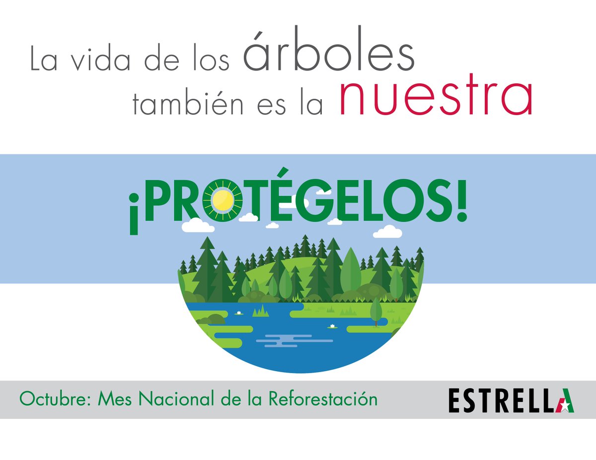 La vida de los árboles también es la nuestra ¡Protégelos! #MesNacionalDeLaReforestacion