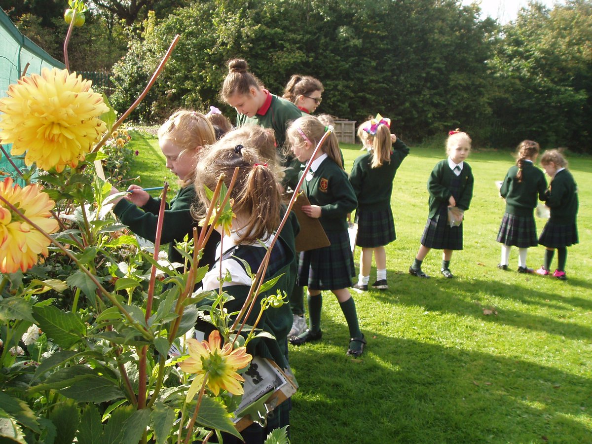 stbrigids_gns's tweet photo. Autumn Nature Hunt in Room 4 #seniorinfants #autumn #nature #outdoorlearning #fallingleaves #squirrells #usingoursenses https://t.co/omDgsgL4eW